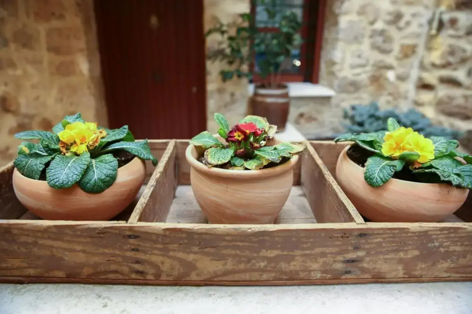 The House by the River