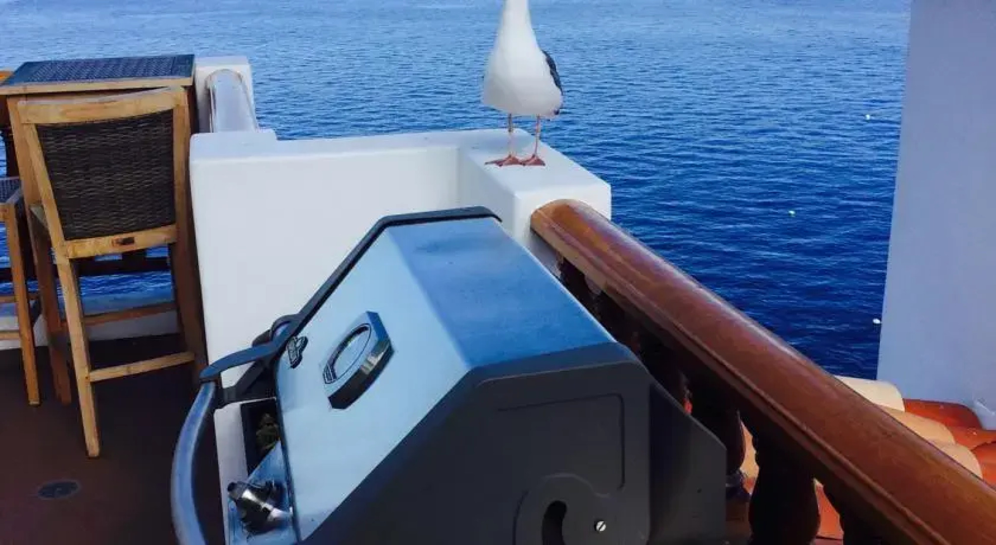 Catalina Holiday 18-65