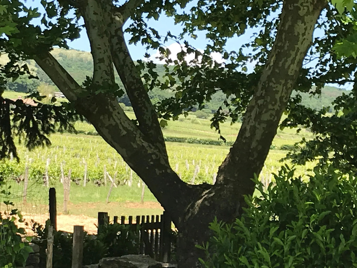 Le Relais de Scissé