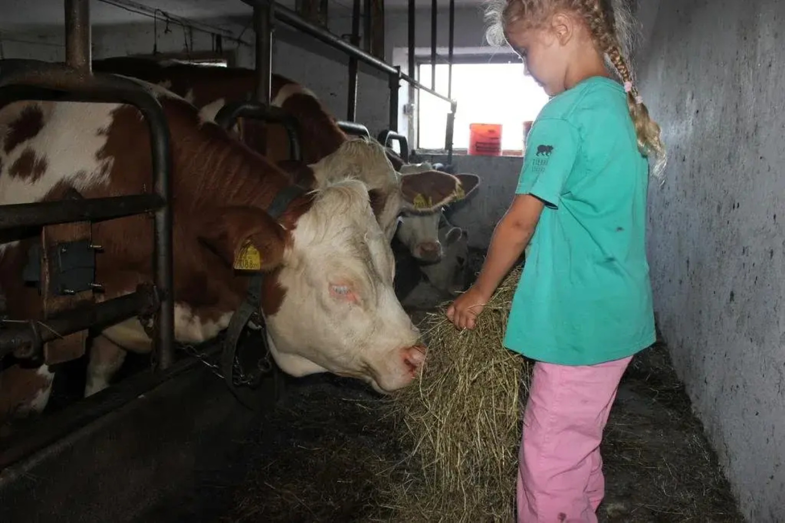 Kinder- und Familienbauernhof Christa