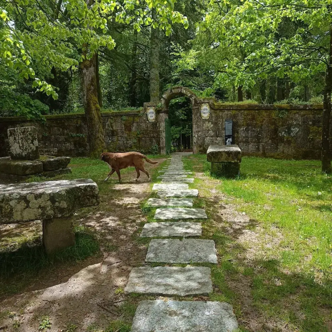 Rustic Terrace2 Bedrooms Farm House