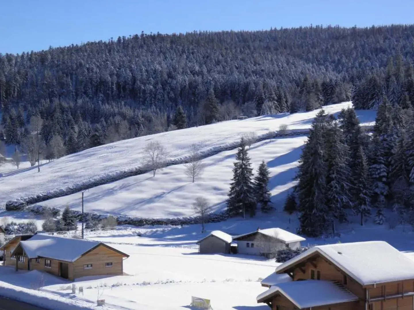 Chalet Ban-sur-Meurthe-Clefcy, 3 pièces, 4 personnes - FR-1-589-150
