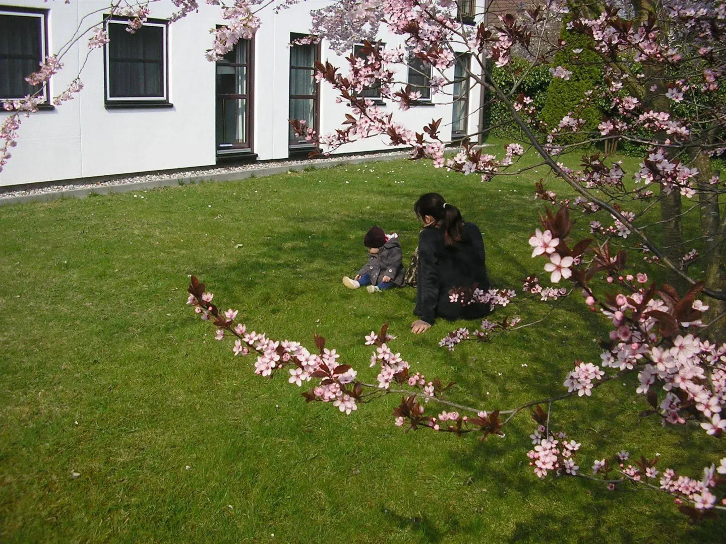 Lindenhotel Stralsund