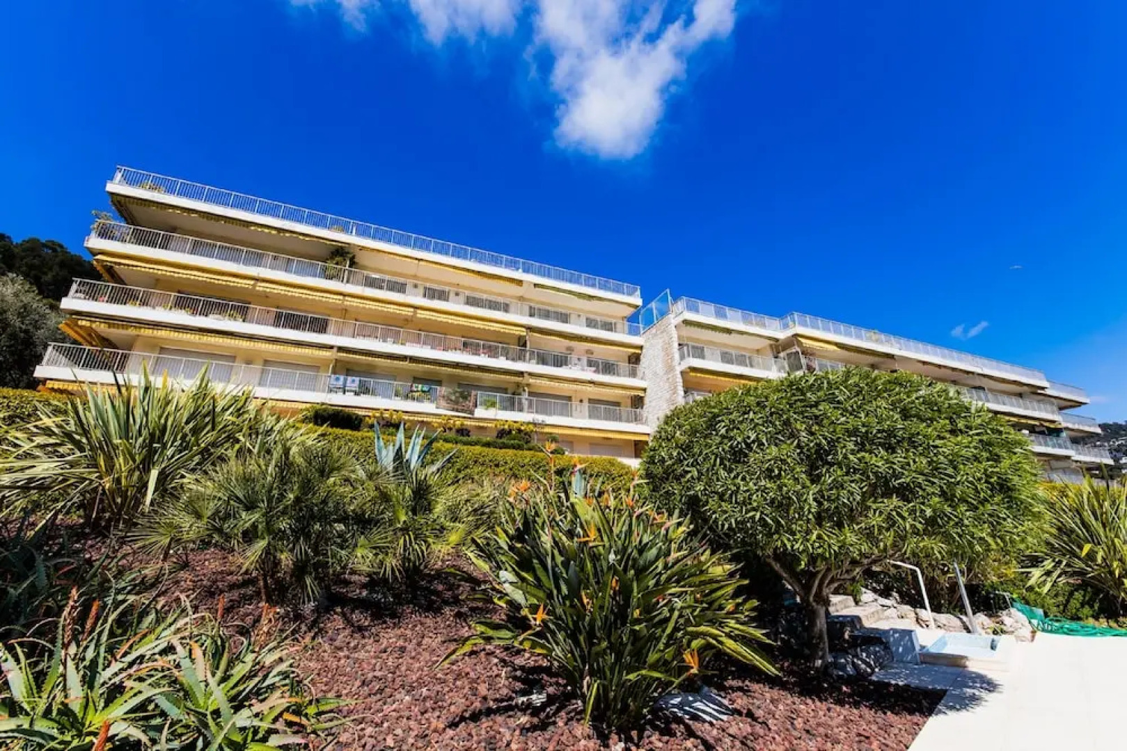 Le California AP1008