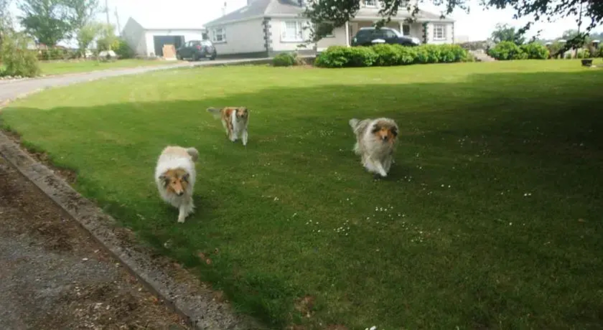 Minnocks Country Home