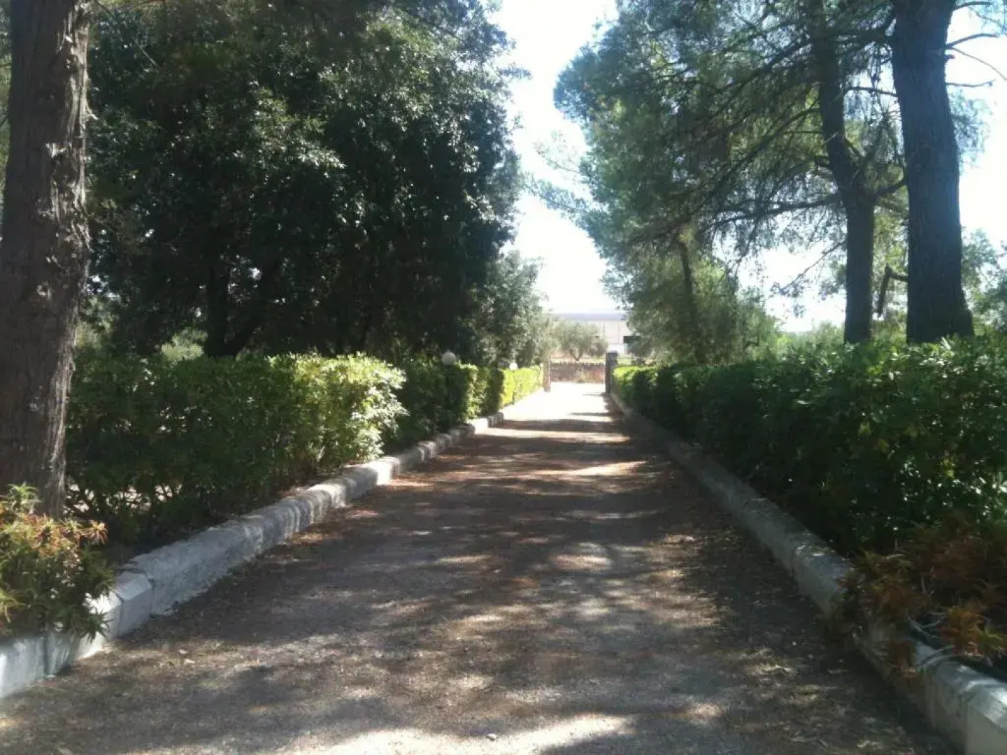 COOEE Surf House and Hospitality