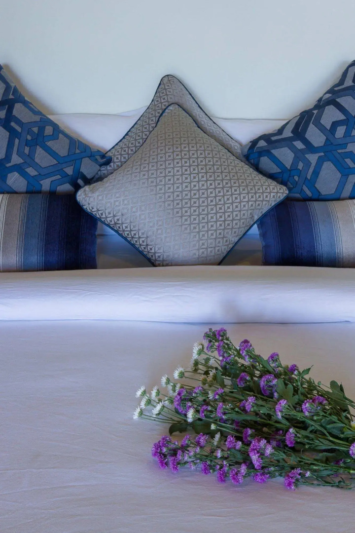 Tea Plant Nuwara Eliya