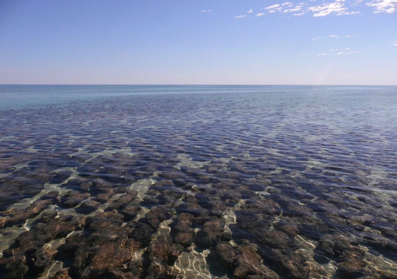 Hamelin Pool Caravan Park
