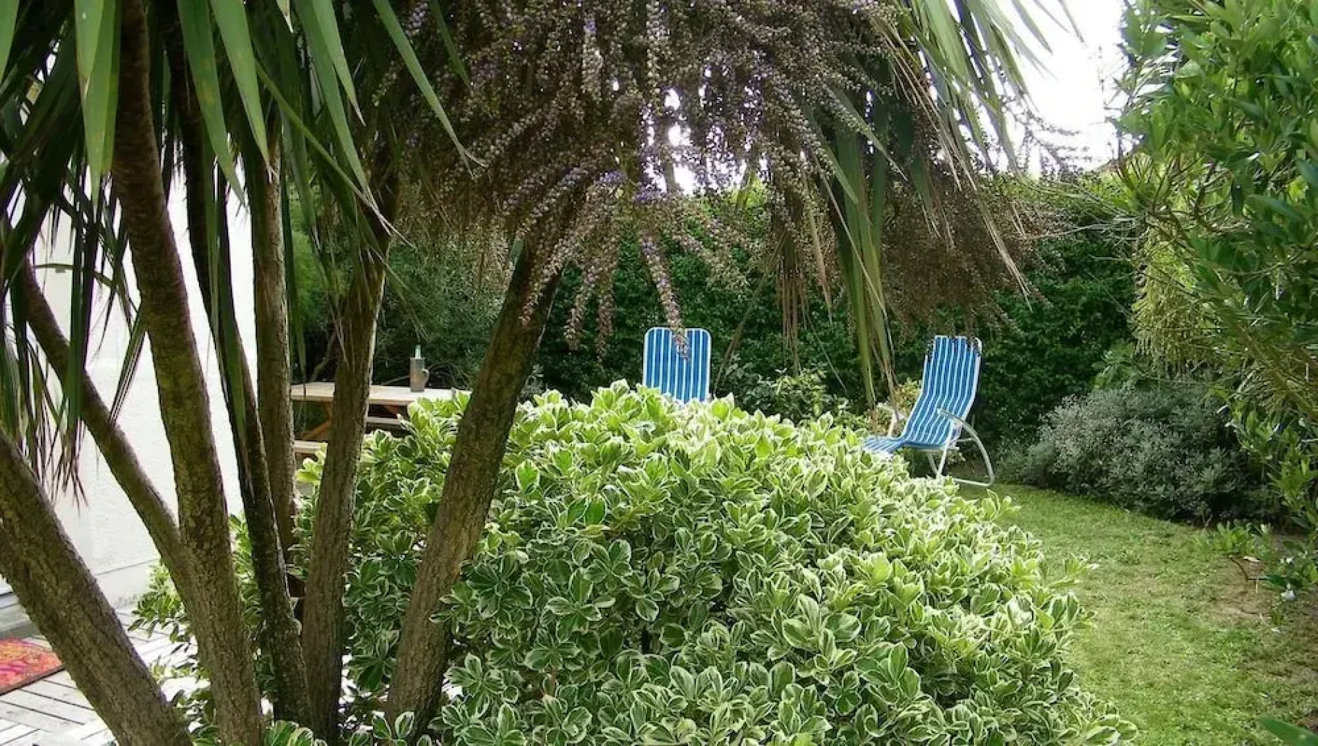 Le Coquillage et la Mer