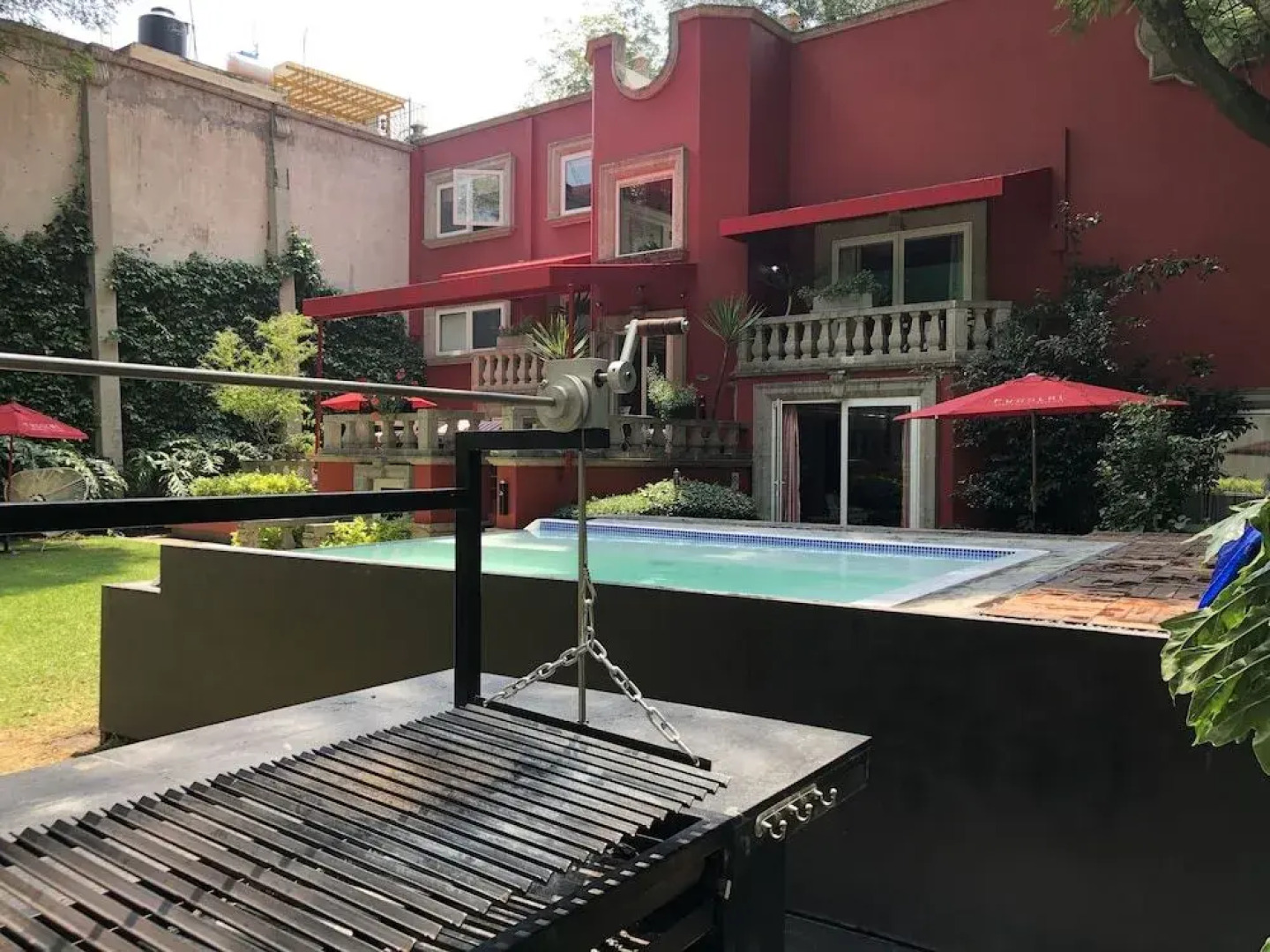 Pug Seal B&B Coyoacan