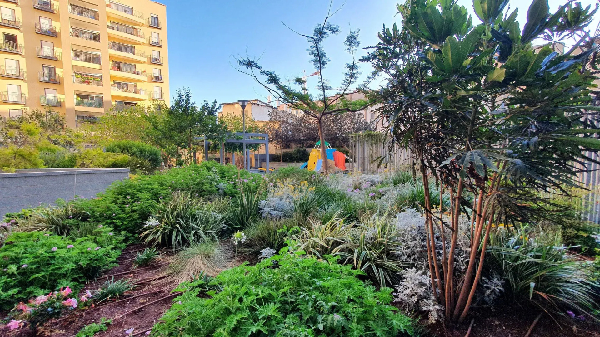 Apartment Coton, 1BR, Tel Aviv, Florentin, Levinsky St, #TL18