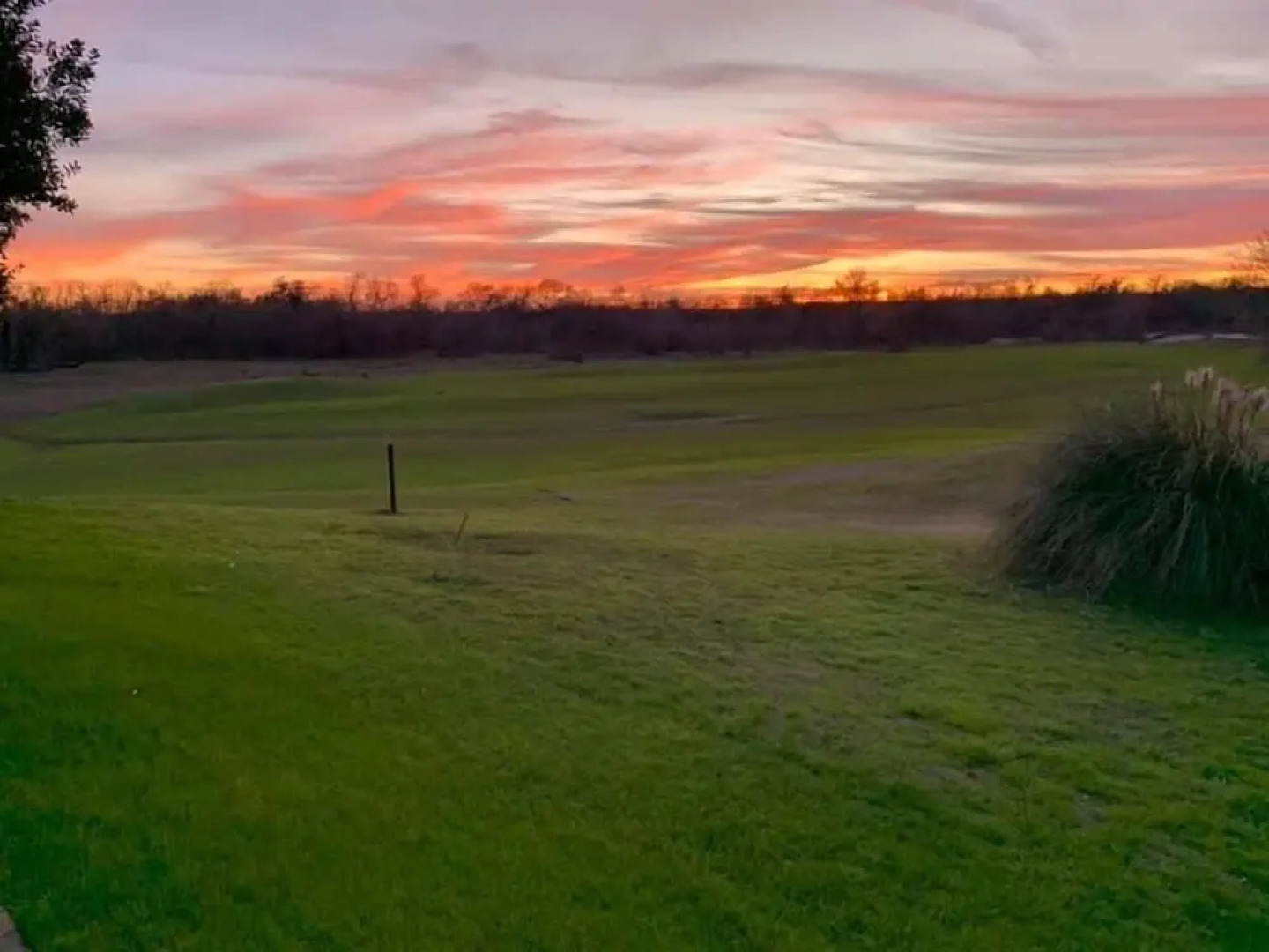 Beautiful Scenery, Towering Pines, Rolling Hills, and the Colorado River