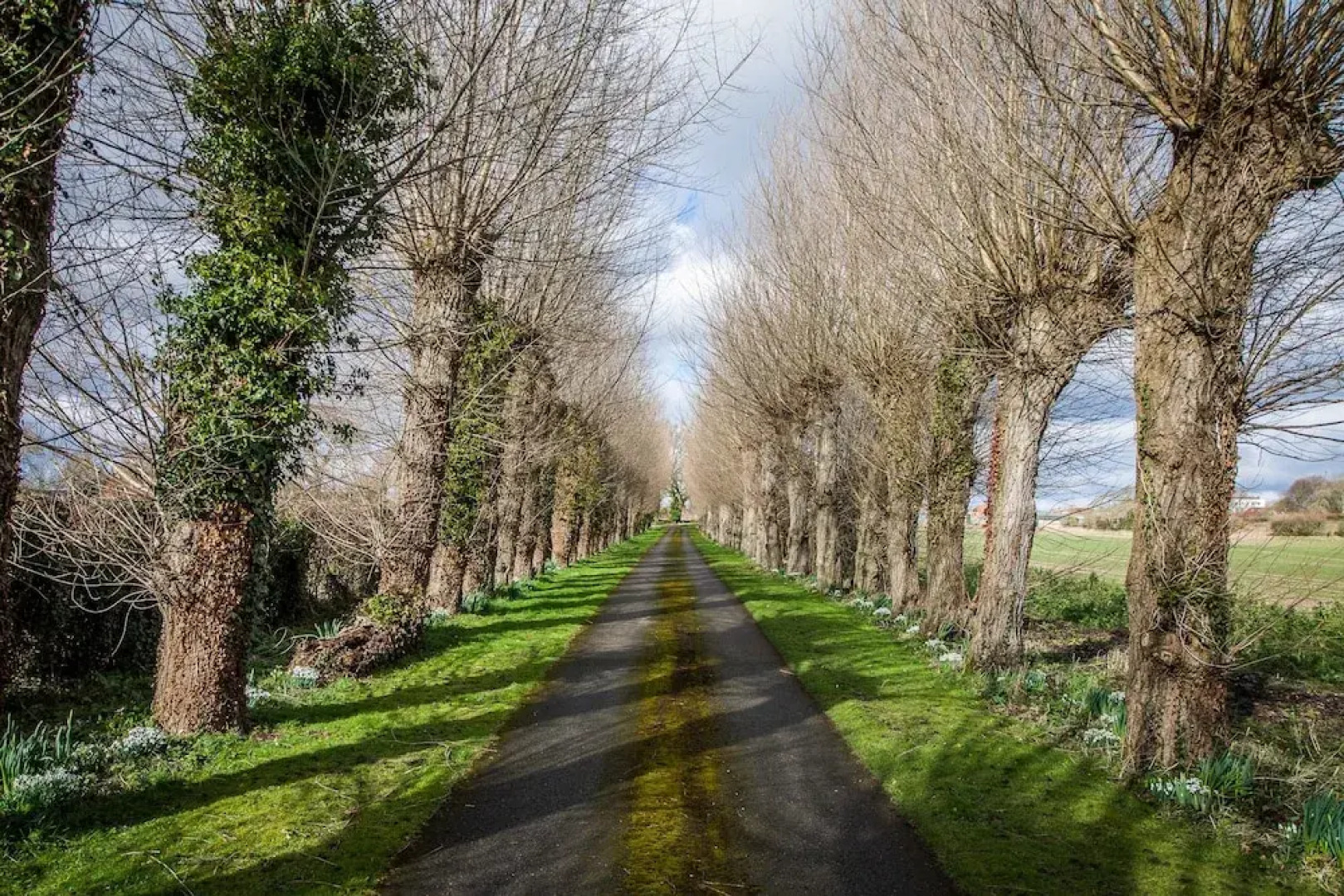 West End Flower Farm Bed and Breakfast