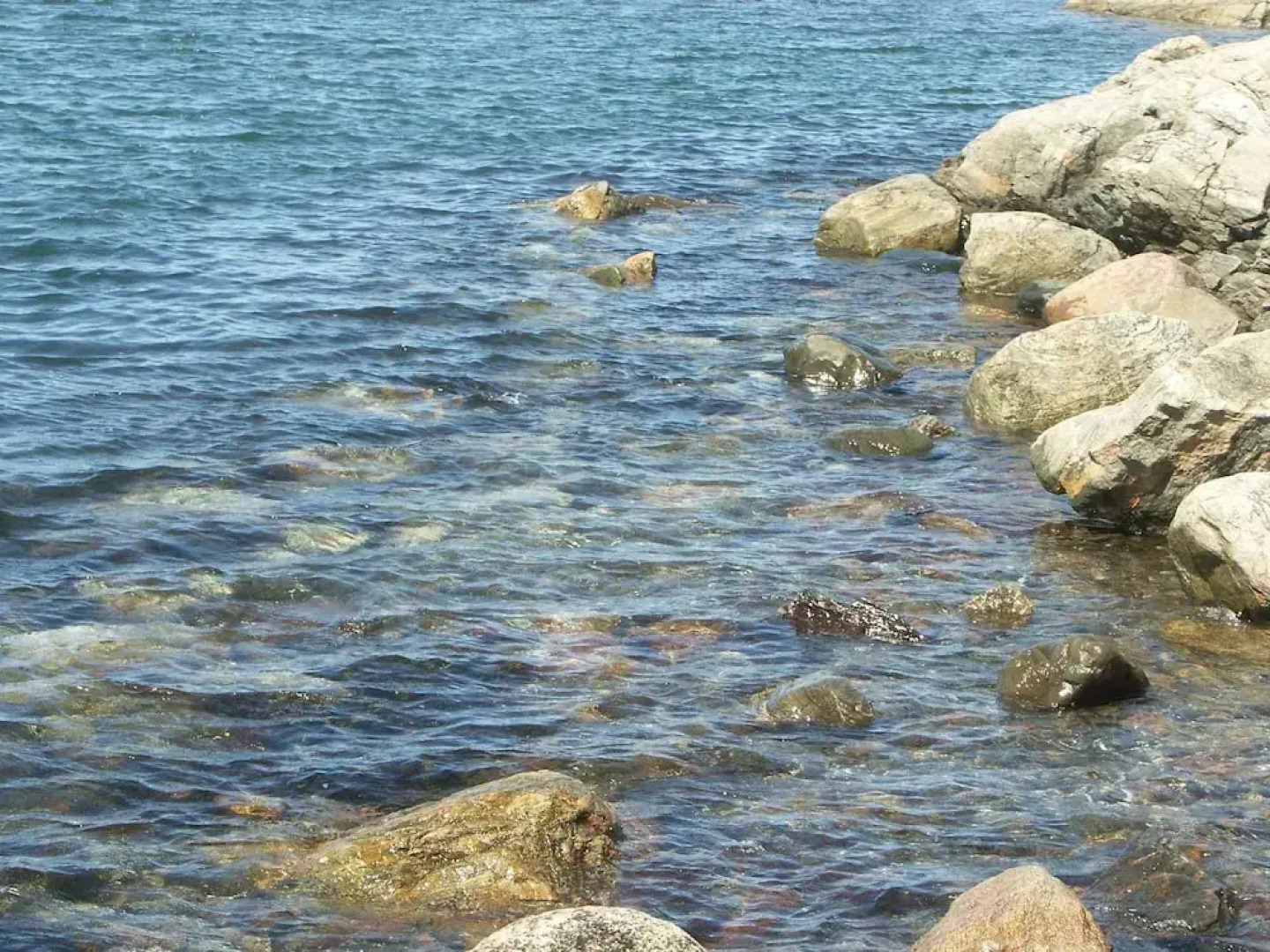 Holiday Home in SkÃ¤rhamn