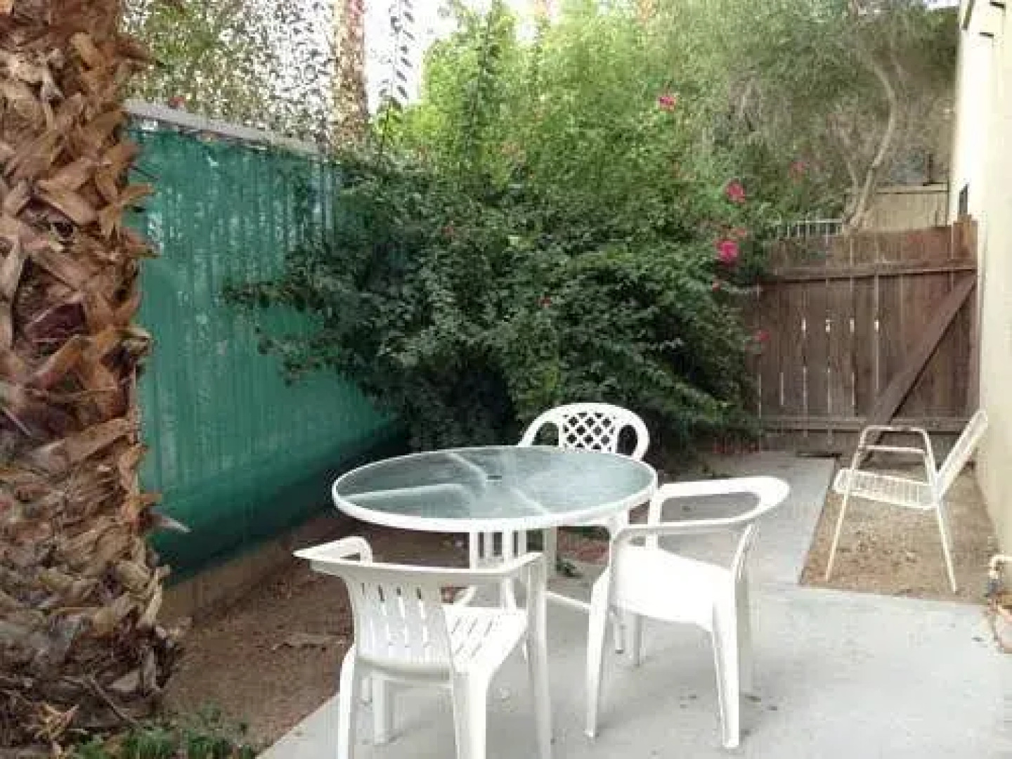 Sahara Mineral Hot Springs Spa & Resort