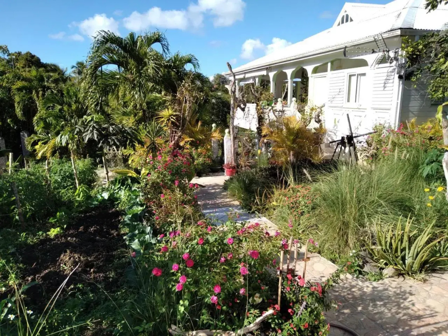 Residence Rose Cannelle