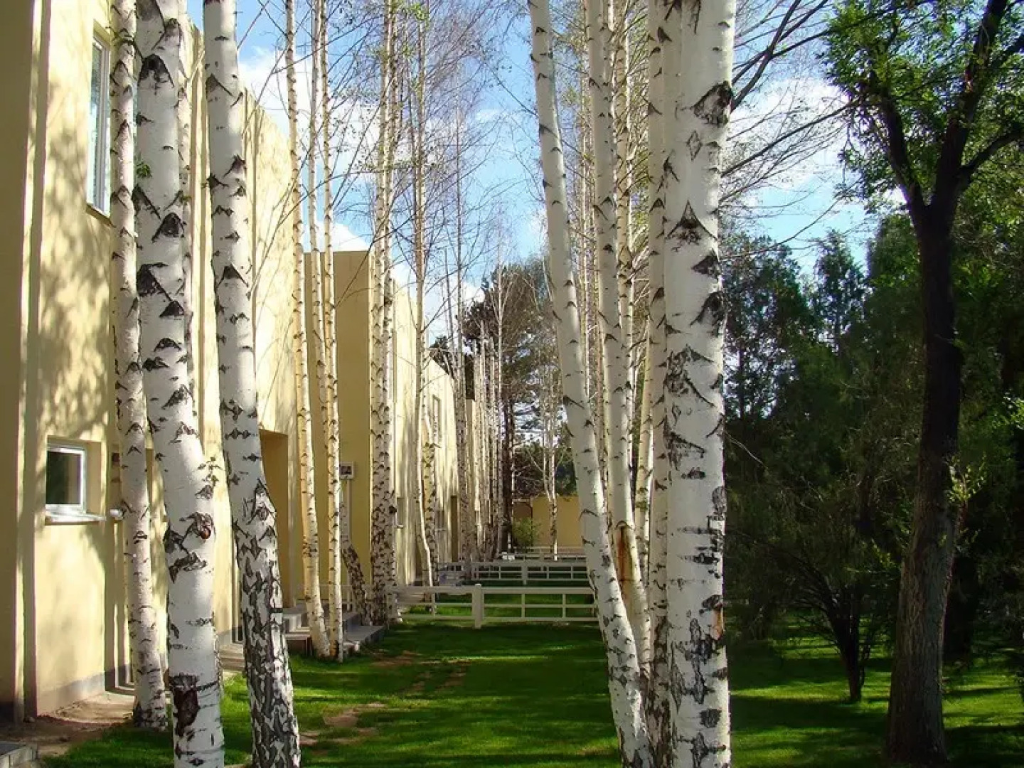 Мурас(Иссык-Куль)