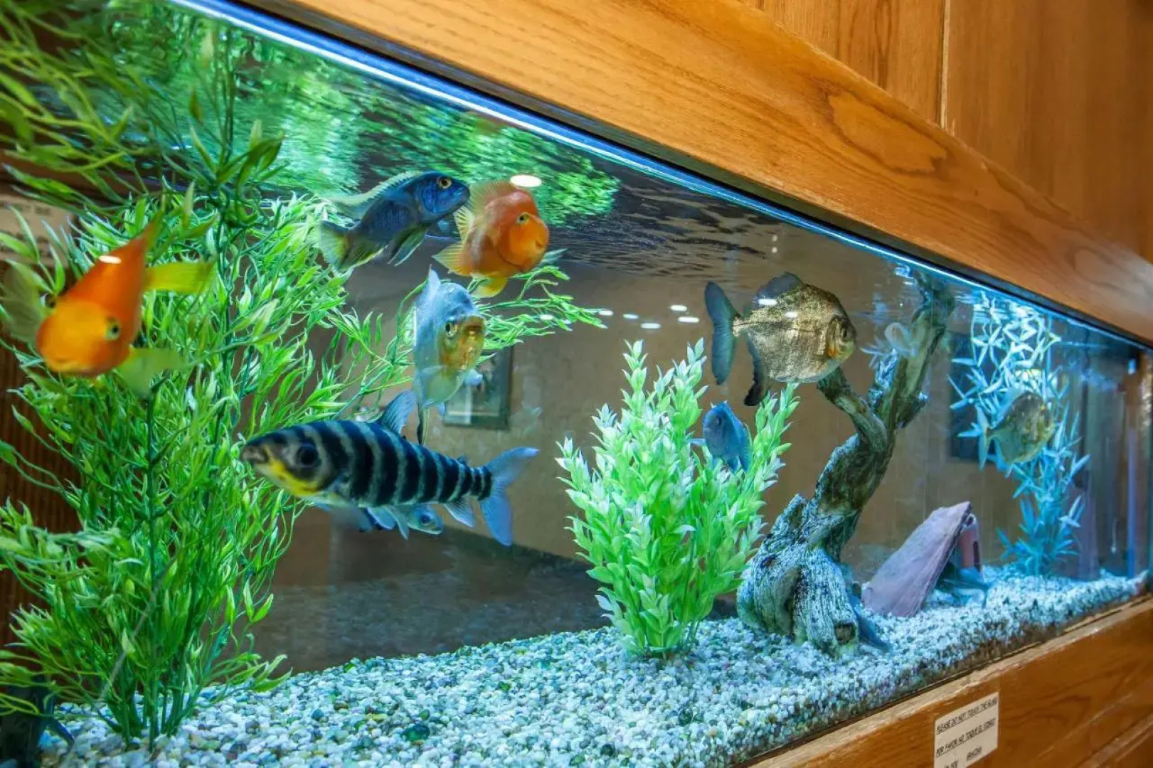 Ramada Conference Center Of Logansport