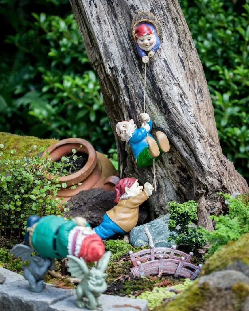 Sea Cliff Gardens Bed & Breakfast