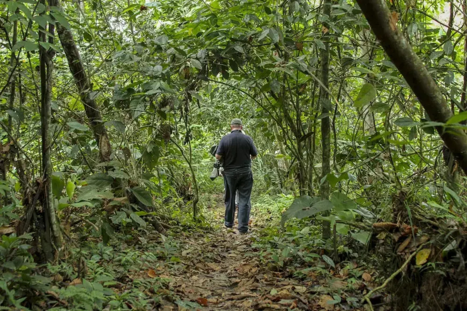 Jungle Experiences La Perla