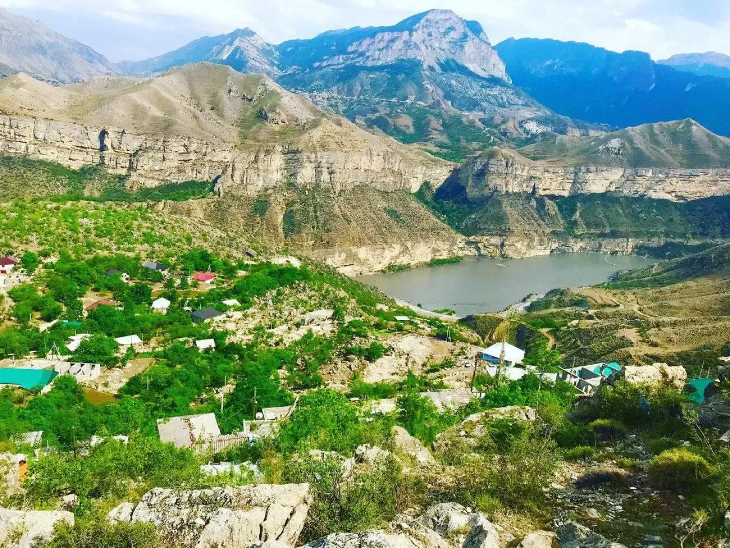 Родное гнездо