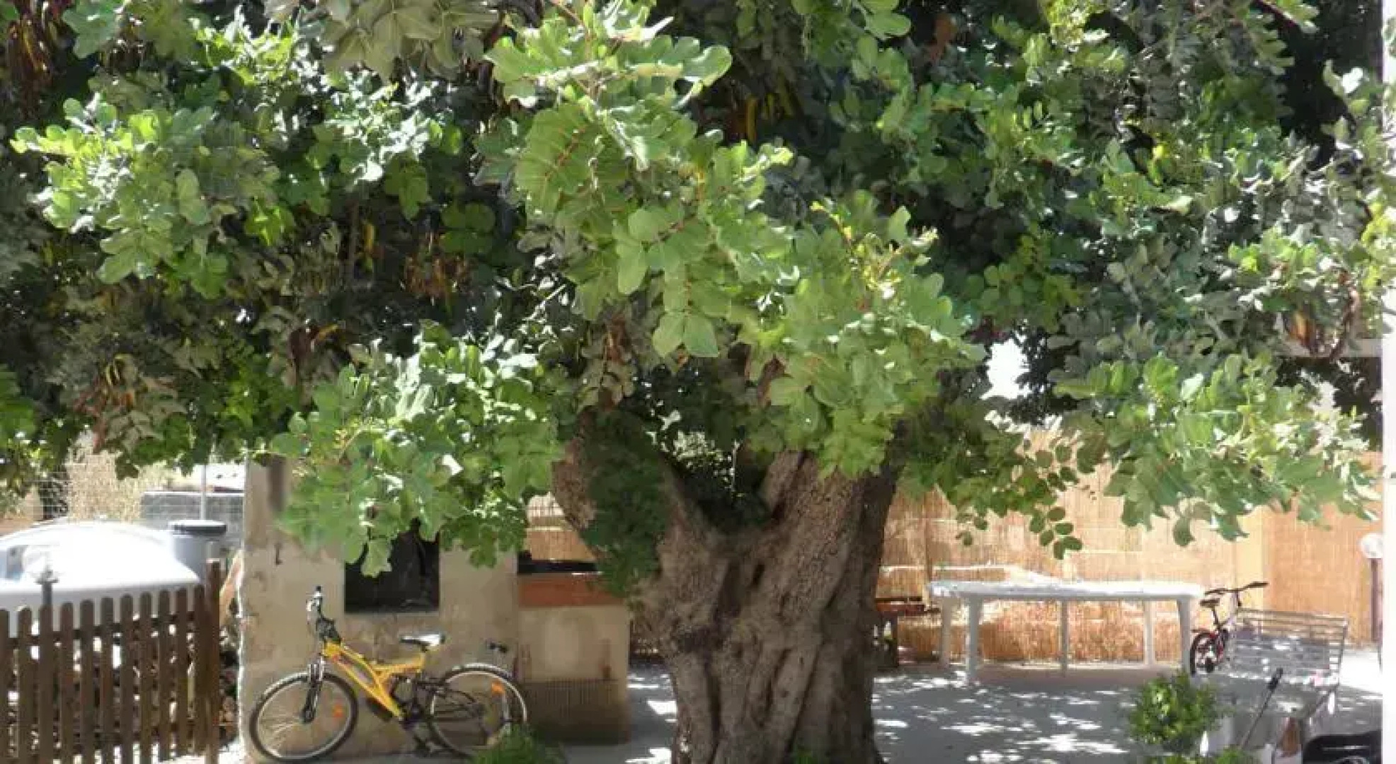 Appartamenti Carrubba