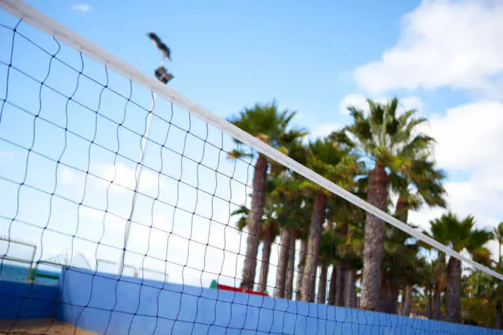 Playa Senator Ruleta Andalucía