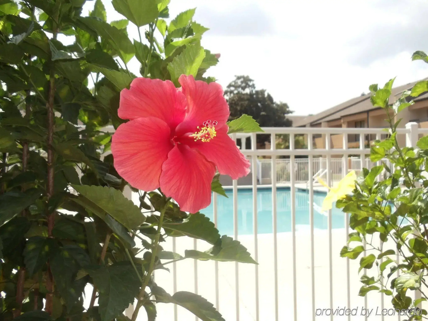 Quality Inn & Suites Pensacola Bayview