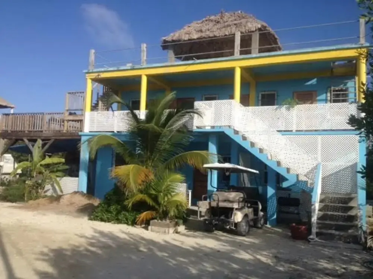Trellis House 3