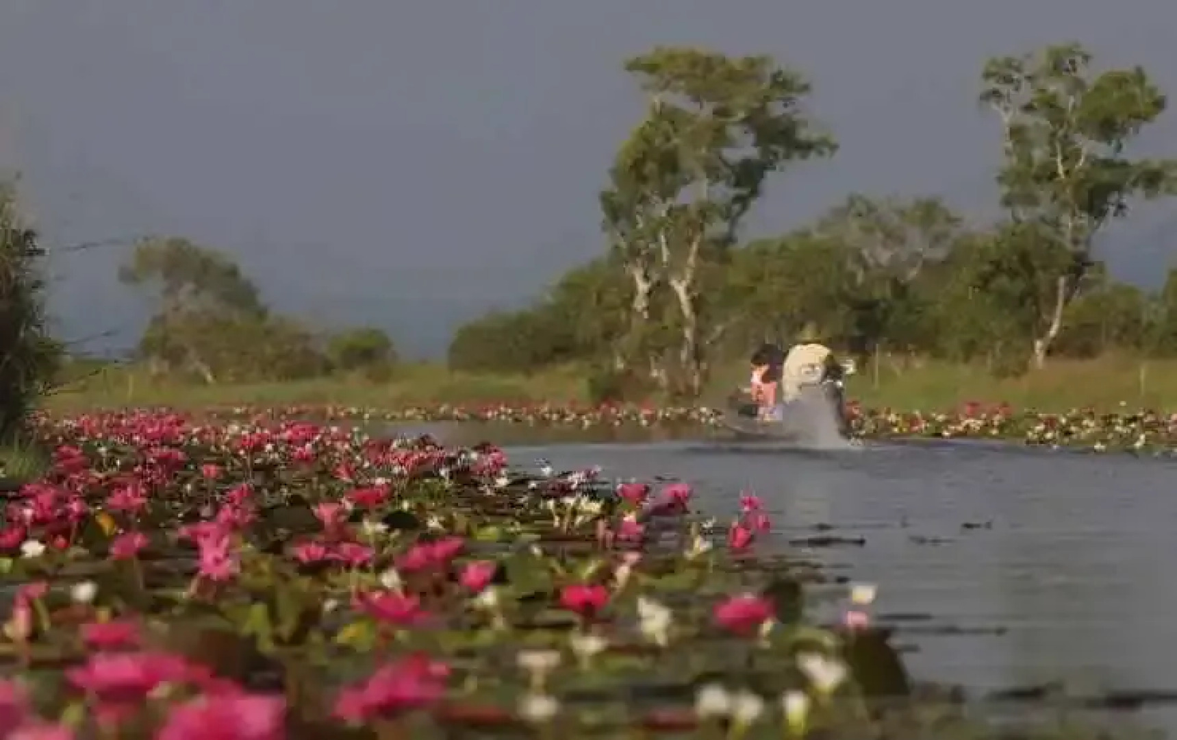Baan​ Tonlamphu​ Pakpra