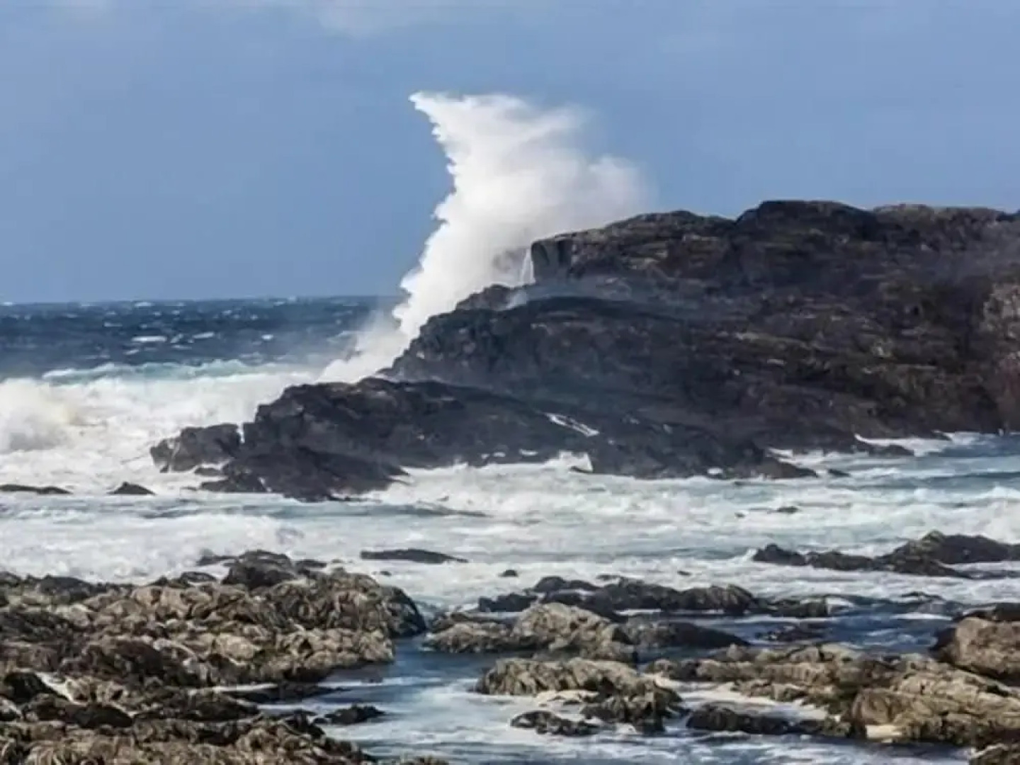 The Beach Day's Bar & B&B