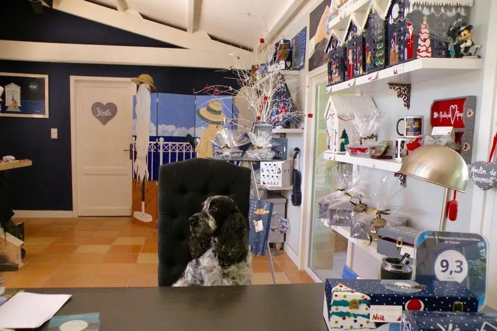 Moulin de Rioupassat B&B de Charme