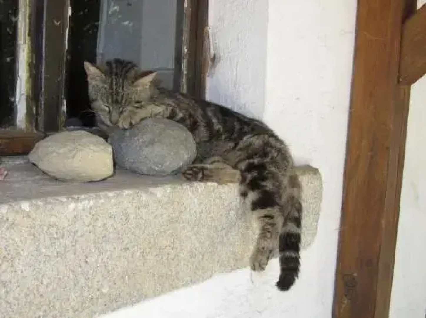 Bio Ferienhof Erzengel