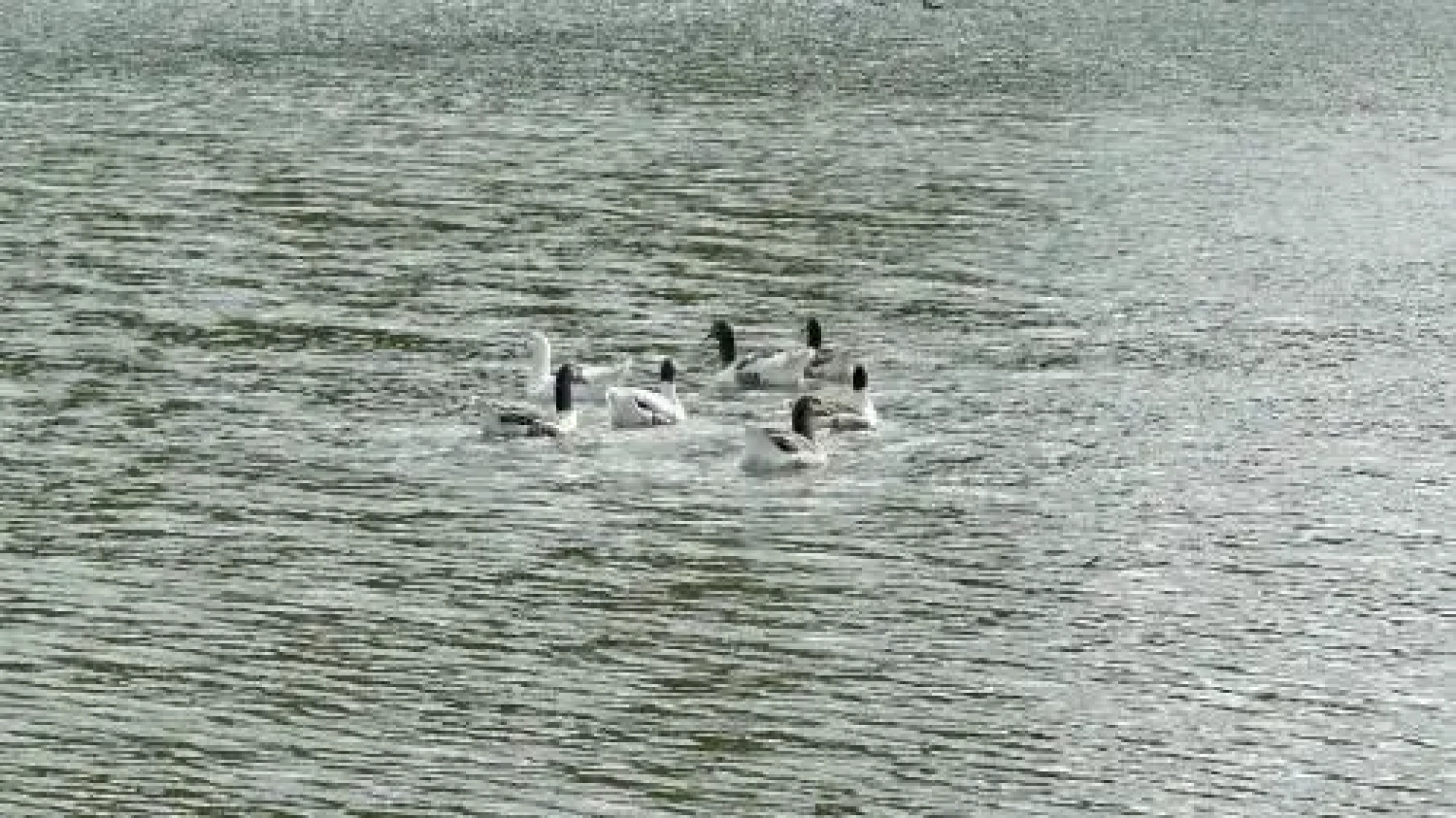 Fazenda Coronel Jacinto