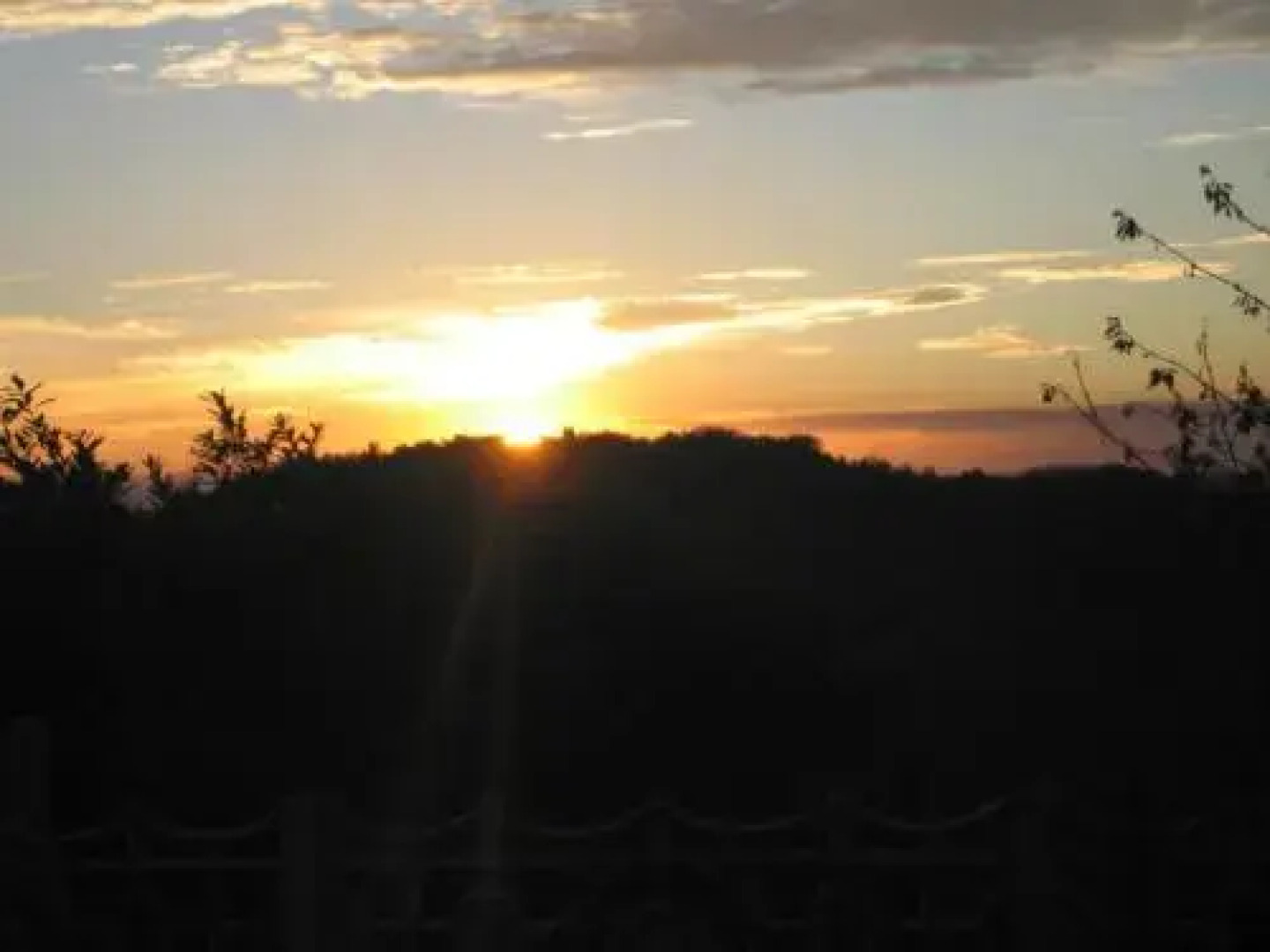 Dalla Magna Livia L&L