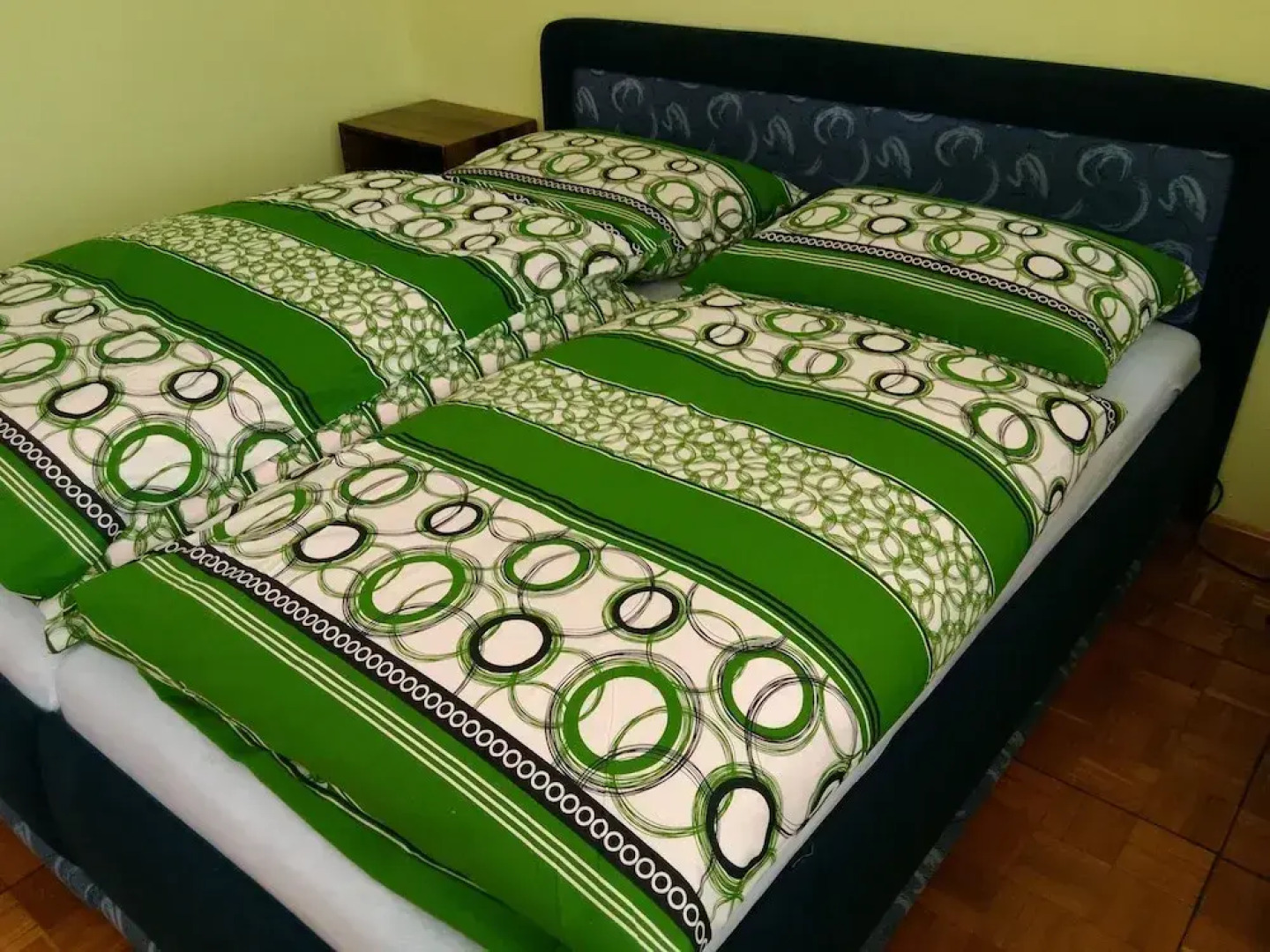 Large Apartment in the heart of Slovácko