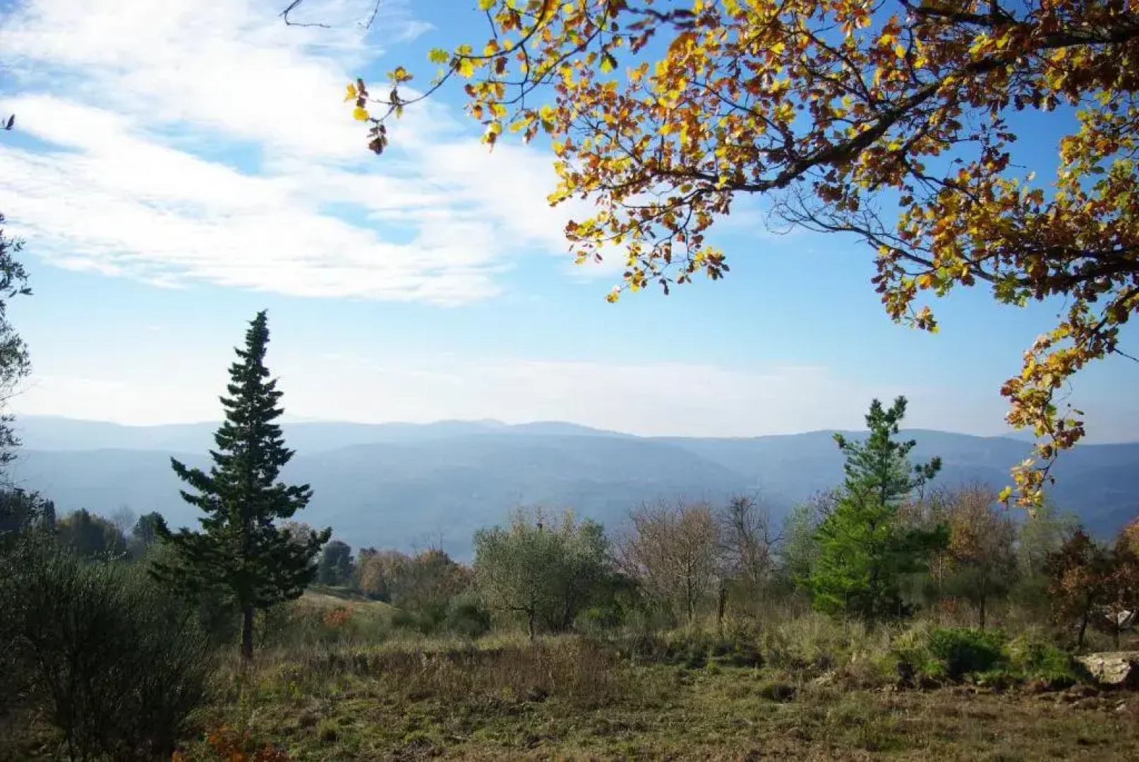 Casa di Santi - Appartamento La Cinciallegra