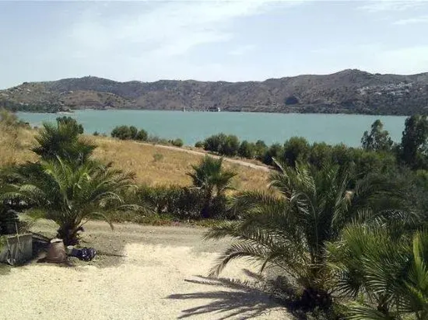 La Solana De Domingo