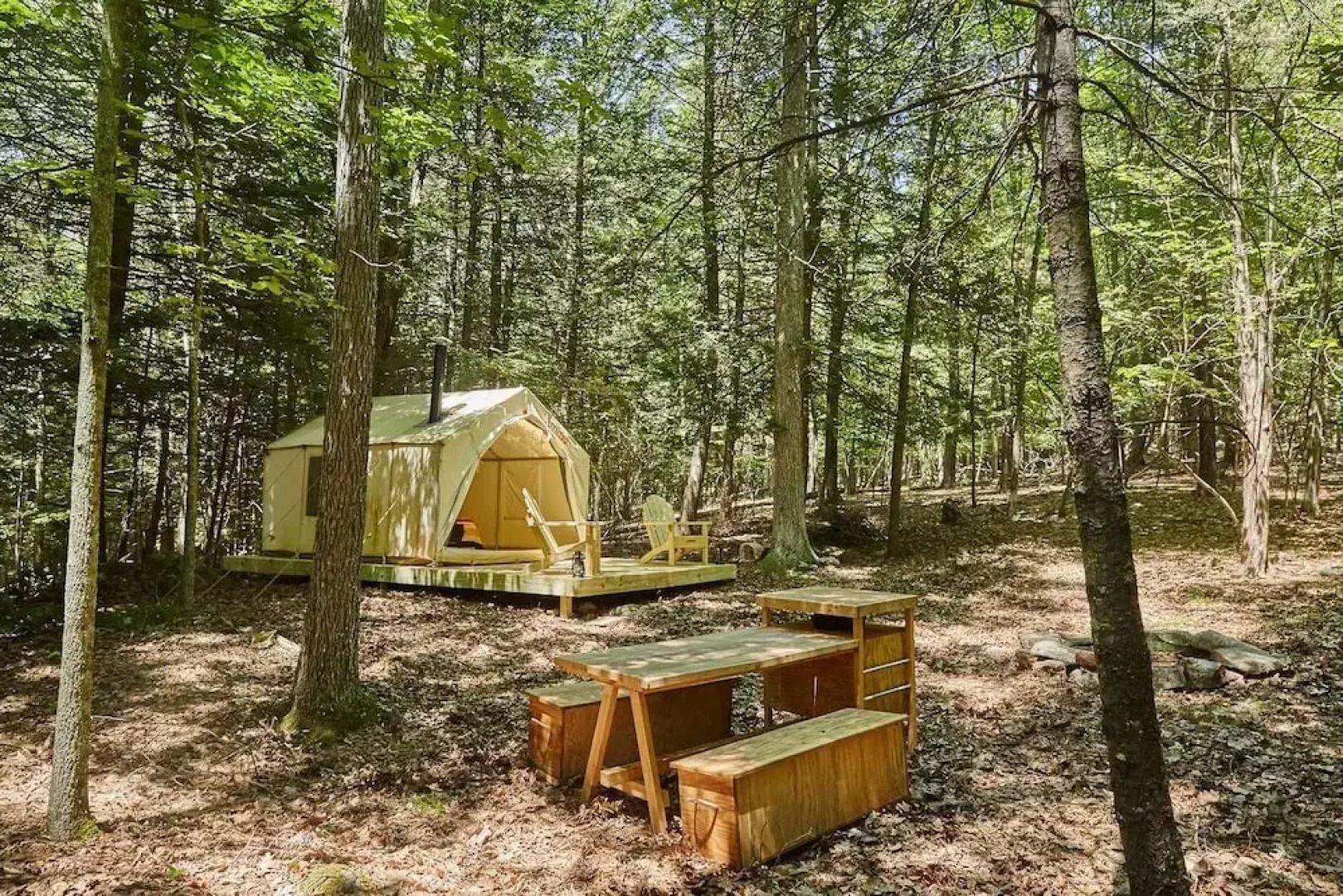 Tentrr - Little Bear