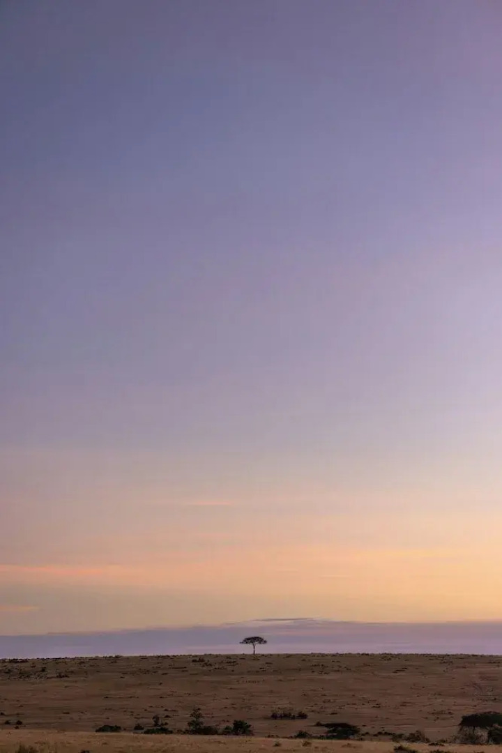 JW Marriott Masai Mara Lodge