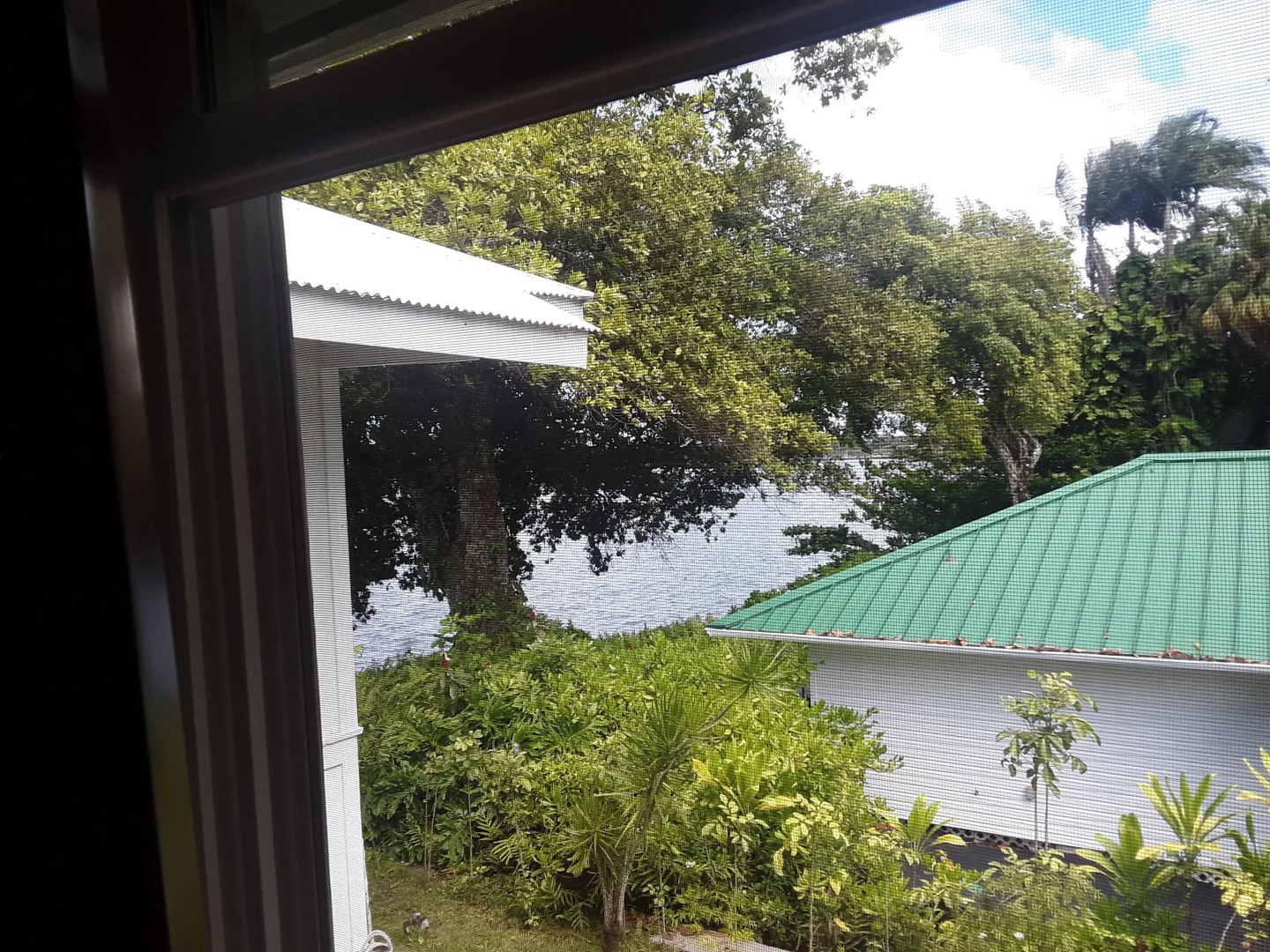 Hilo Bay Oceanfront B&B