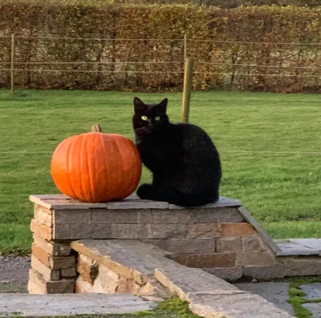 Hoby Gård Bed & Breakfast