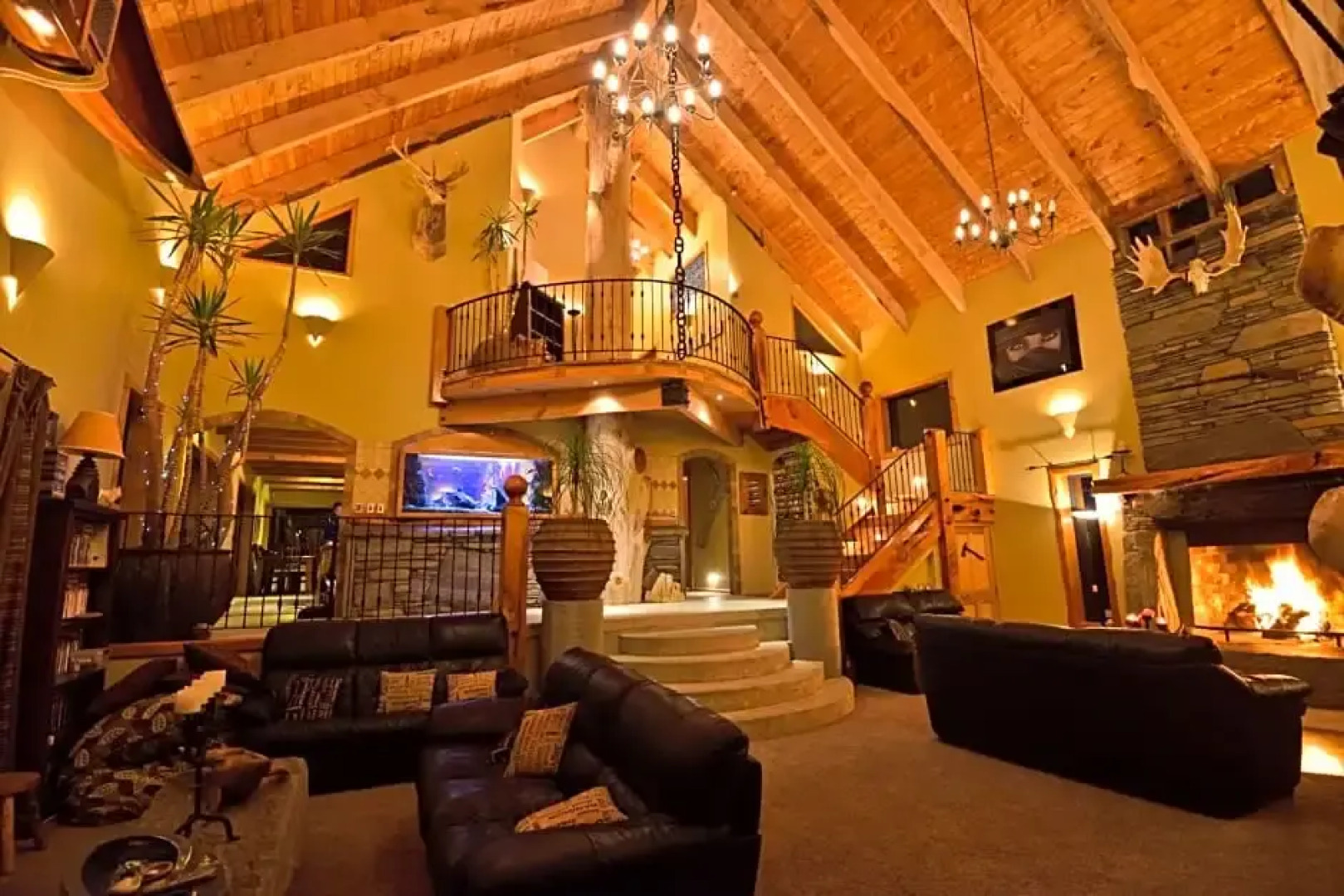 Tree House Lodge Bed & Breakfast