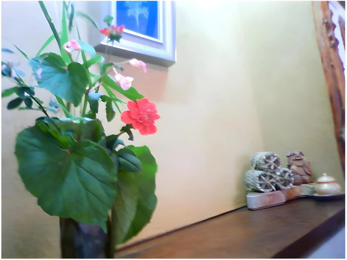 Yakushiyu Shinseikan