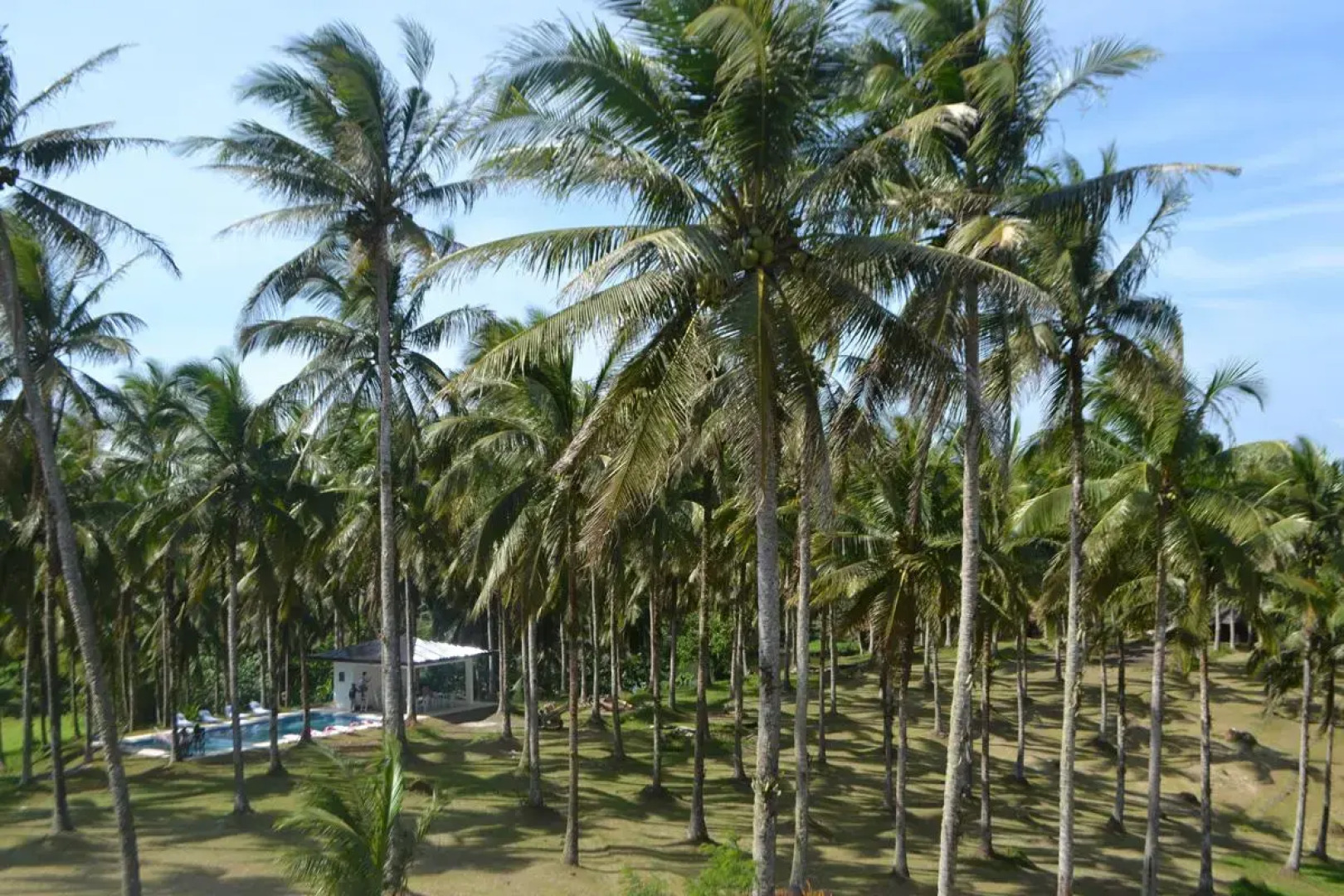 Caliraya Ecoville Recreation and Farm Resort