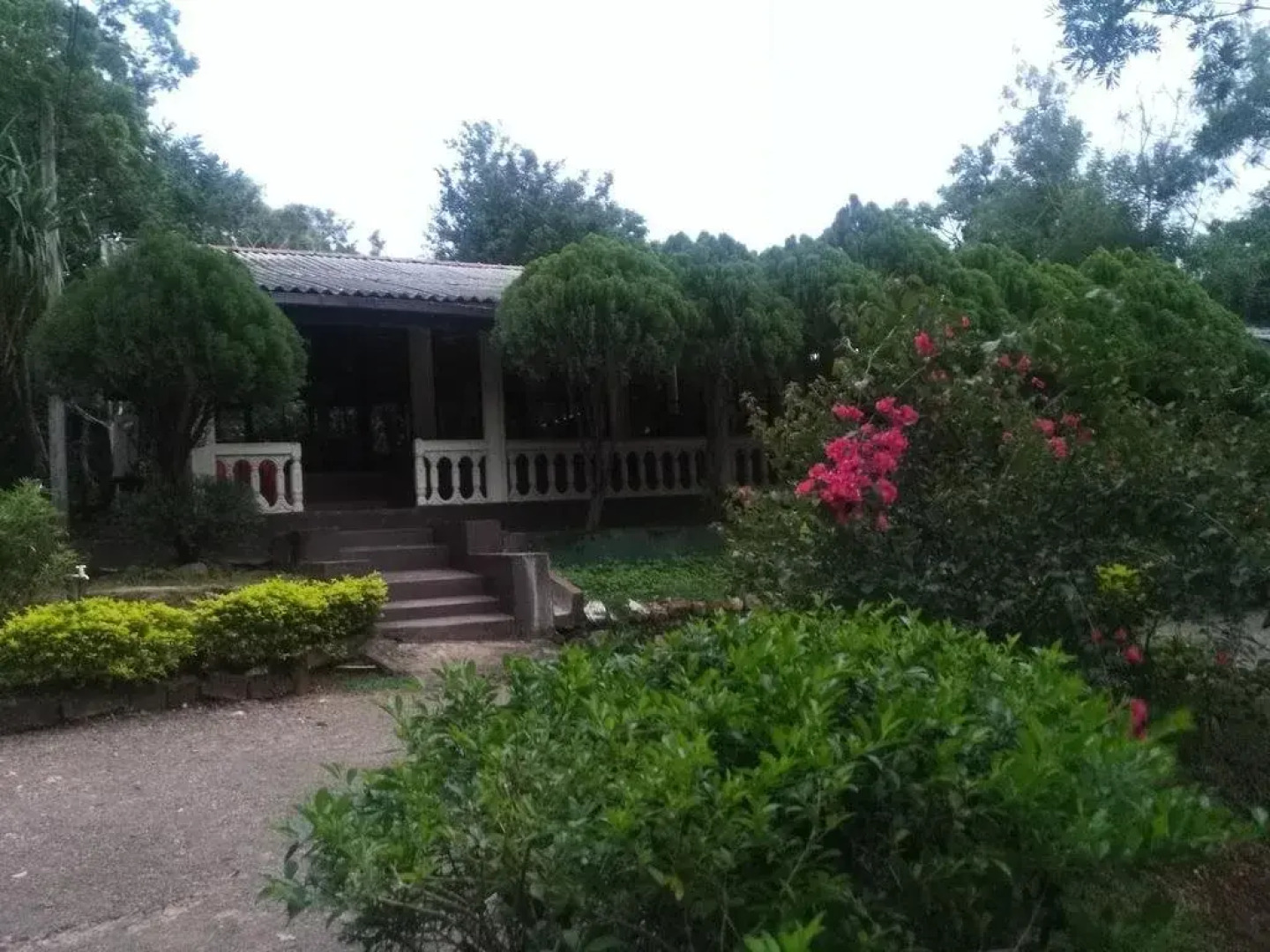 Peacock Solitude Hotel