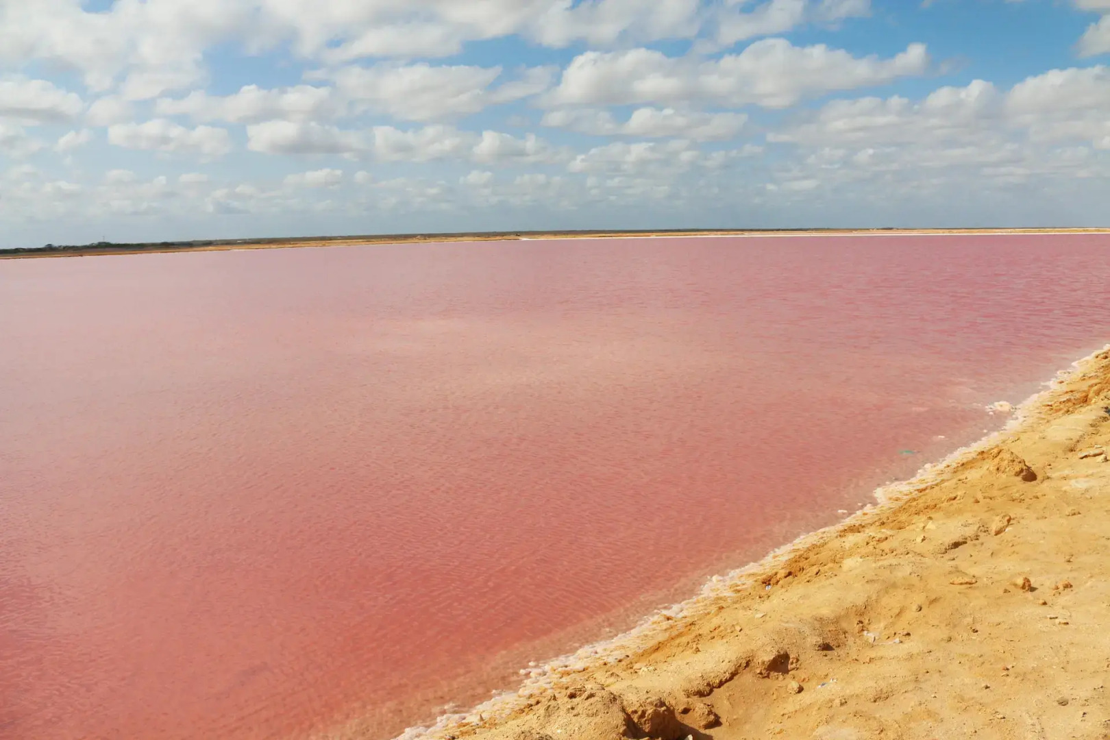 Hotel Waya Guajira By OxoHotel