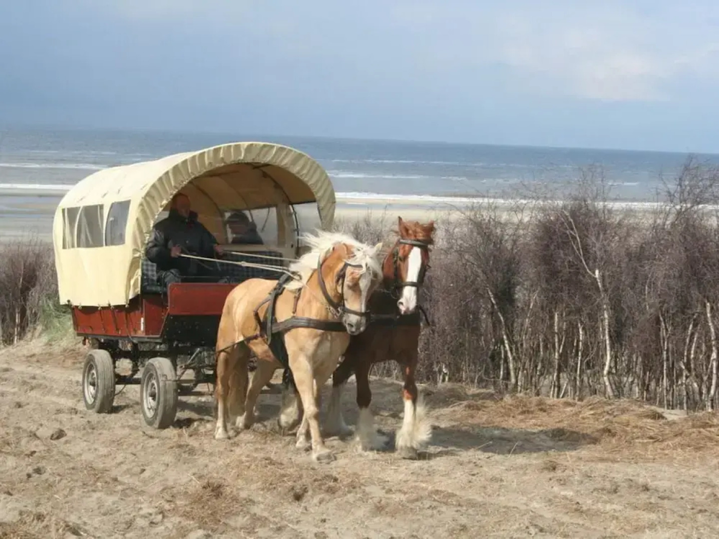 Am Januspark 14 Modern Retreat