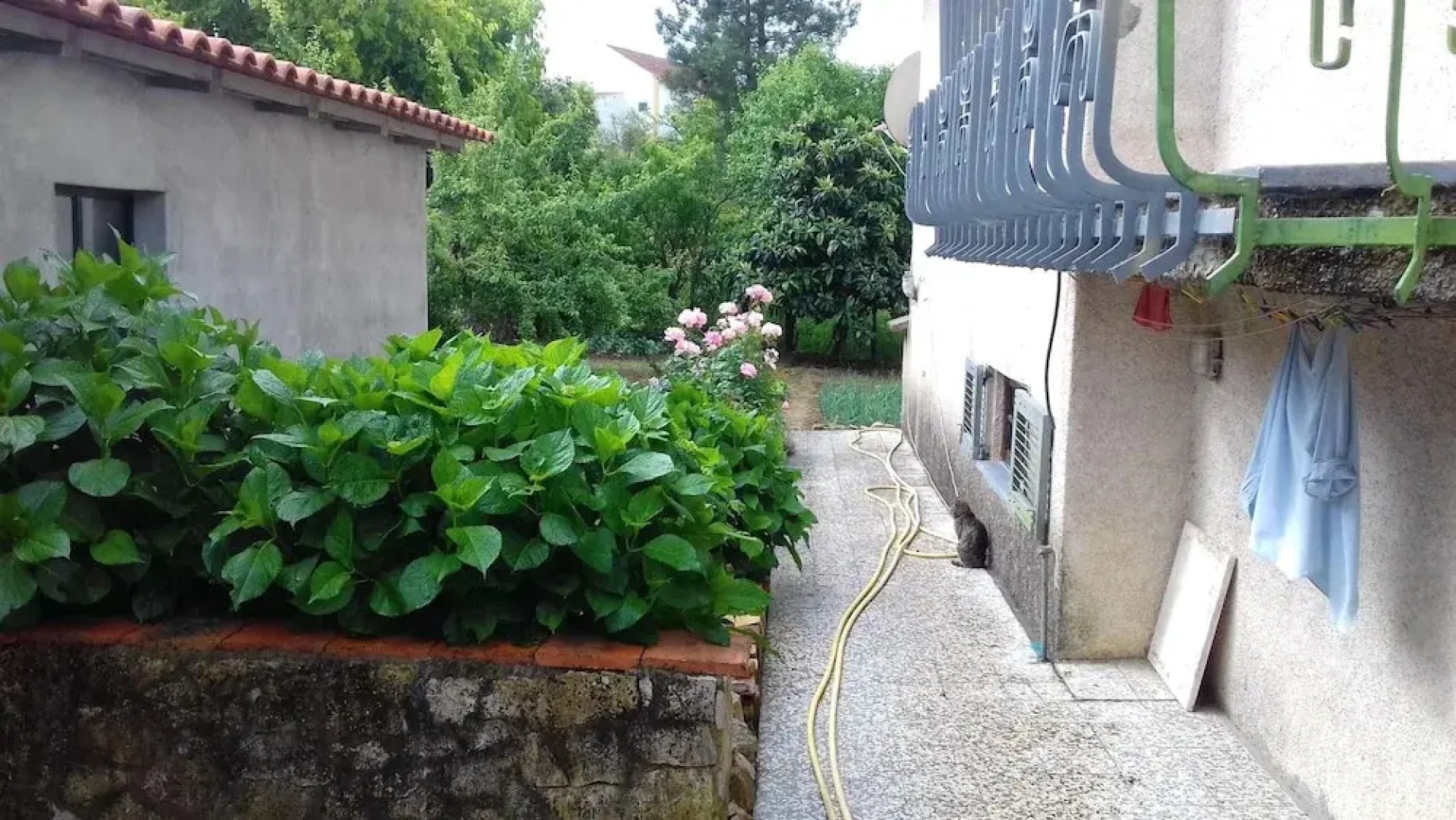 House With 3 Bedrooms in São Pedro de Tomar, With Wonderful Mountain View, Enclosed Garden and Wifi Near the Beach