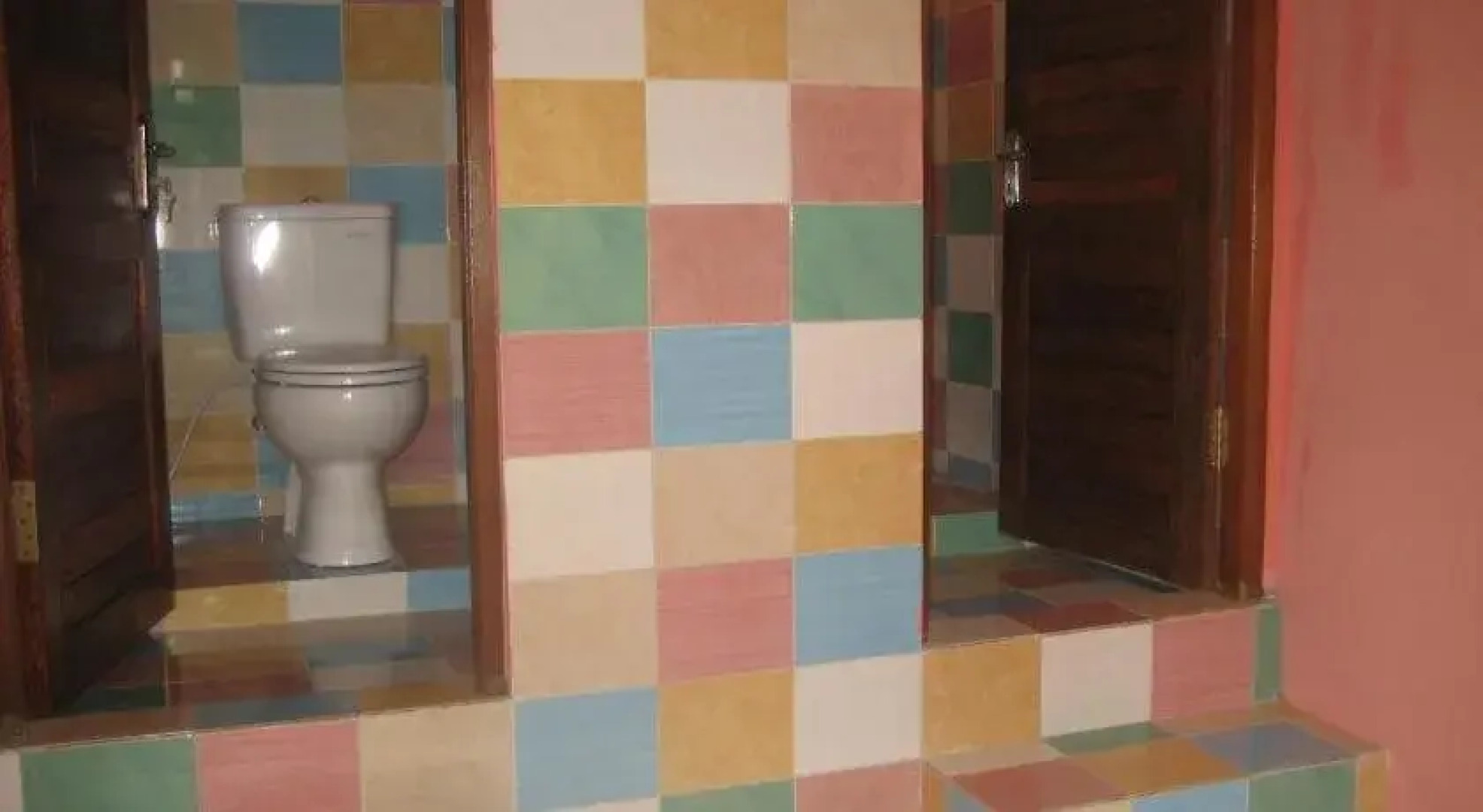 The Happy Mango Tree